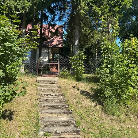 Nad Jeziorem Z Wlasna Kladka- Raj Dla Wedkarzy I Grzybiarzy *